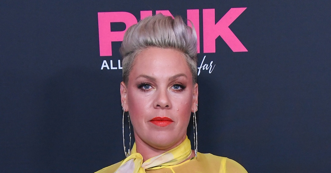 Pink Has Scathing Message for Fans Who Support SCOTUS’ Abortion Ruling